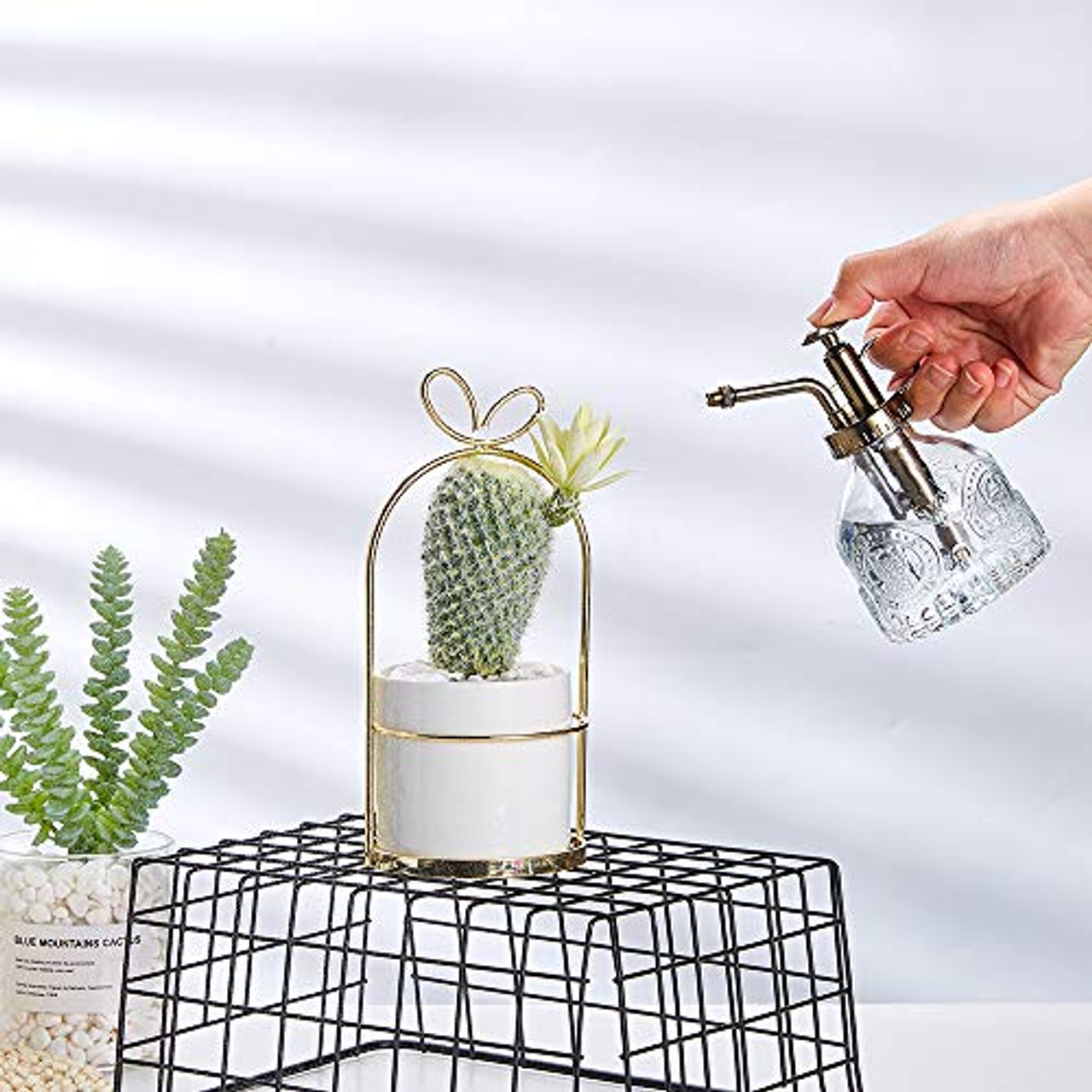 Plant Mister 6.5 Tall Decorative Glass Water Spray Bottle with Gold Top Pump Small Watering Can by Ebristar Clear 