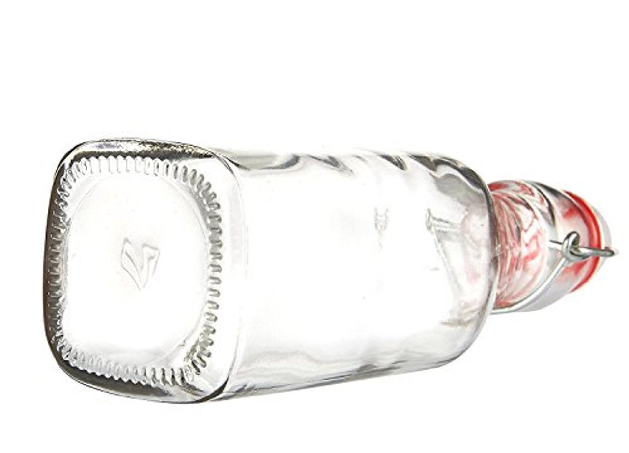 One Vessel Feather Glass Drinking Bottle Glass Silicone Bumper