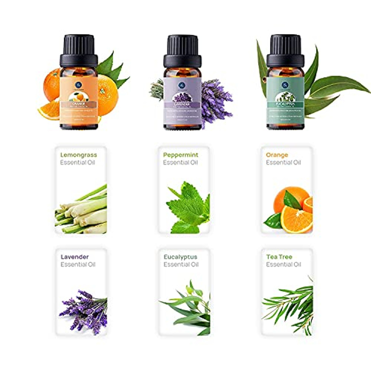 Essential Oils Top 6 Gift Set Pure Essential Oils for Diffuser, Humidifier,  Massage, Aromatherapy