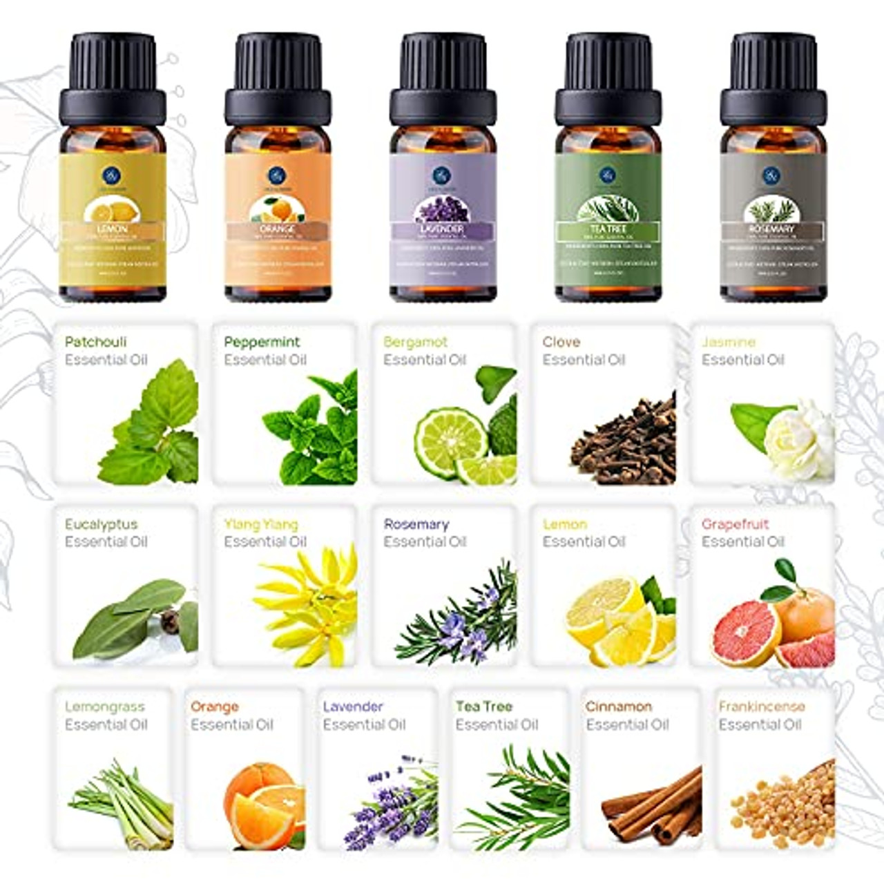 Lagunamoon Essential Oils Gift Set 6 Pcs Pure Essential Oils for Diffuser  Humidifier Massage Aromatherapy Skin & Hair Care 10ML (Lavender Eucalyptus  Lemongrass Orange Peppermint Tea Tree)