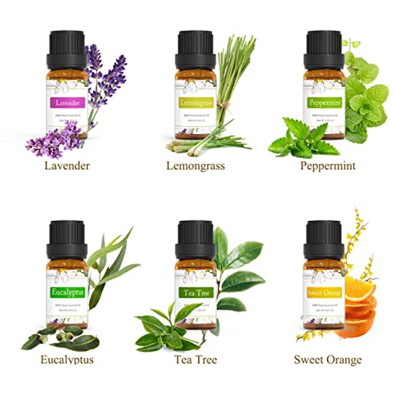 Pure Essential Oils | Aromatherapy Set of 6: Peppermint Oil, Australian Tea  Tree Oil, Eucalyptus Oil, Lavender Oil, Sweet Orange Oil, Lemongrass Oil