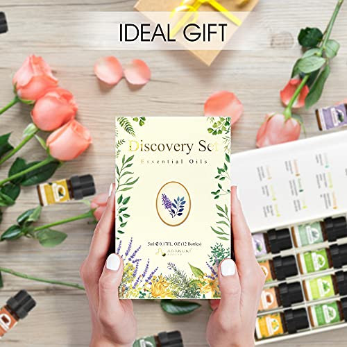 ASAKUKI Premium Essential Oils Set 12Pcs Oils, 100% Pure Lavender