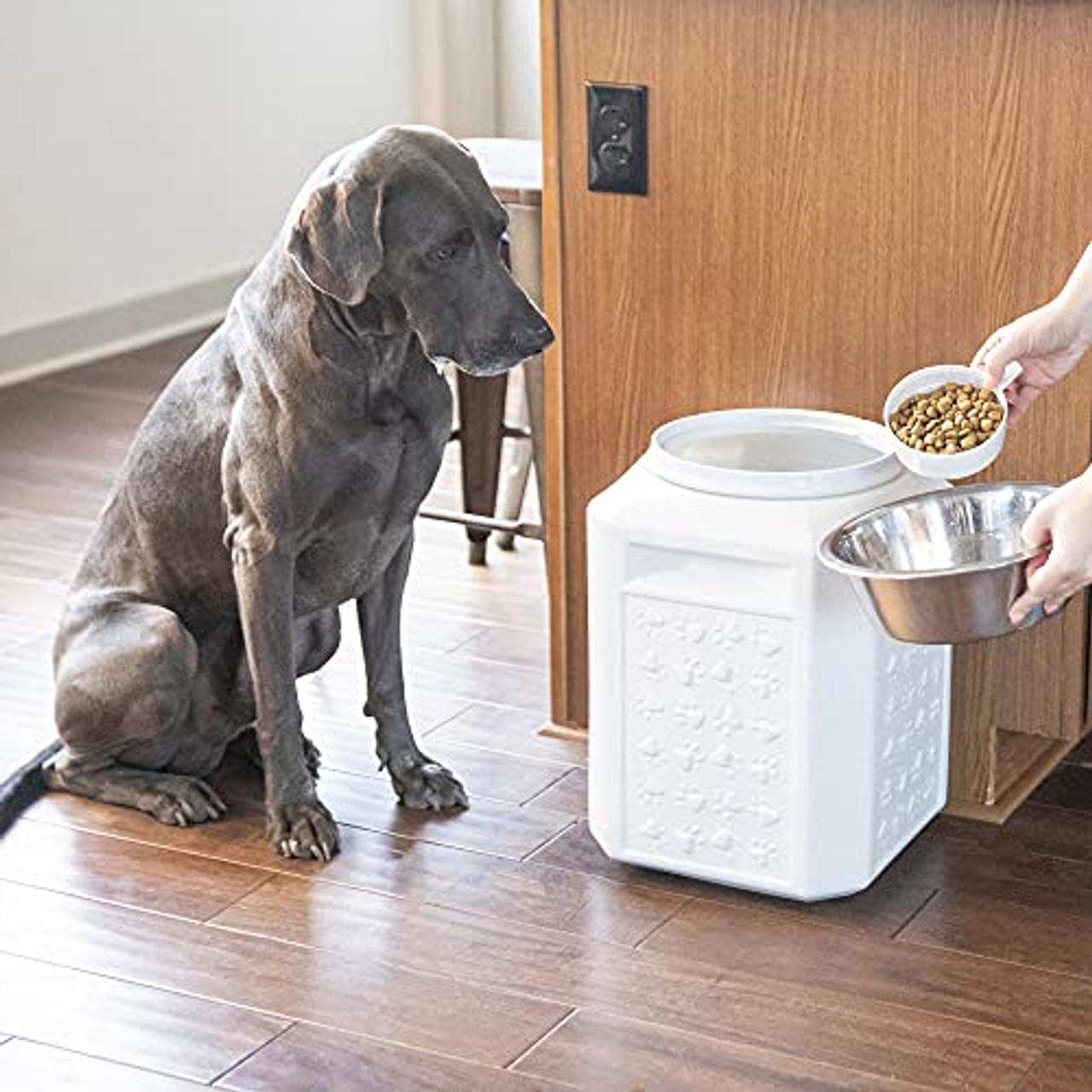 60 lb dog food container