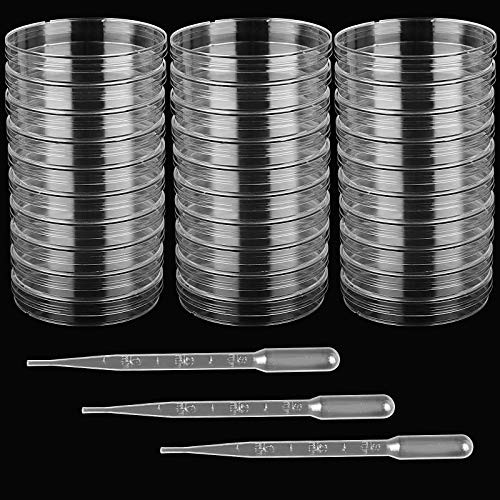 SPL Petri Dish, 100x15mm, Polystyrene, Sterile, 3 Vents, (Pack of 10
