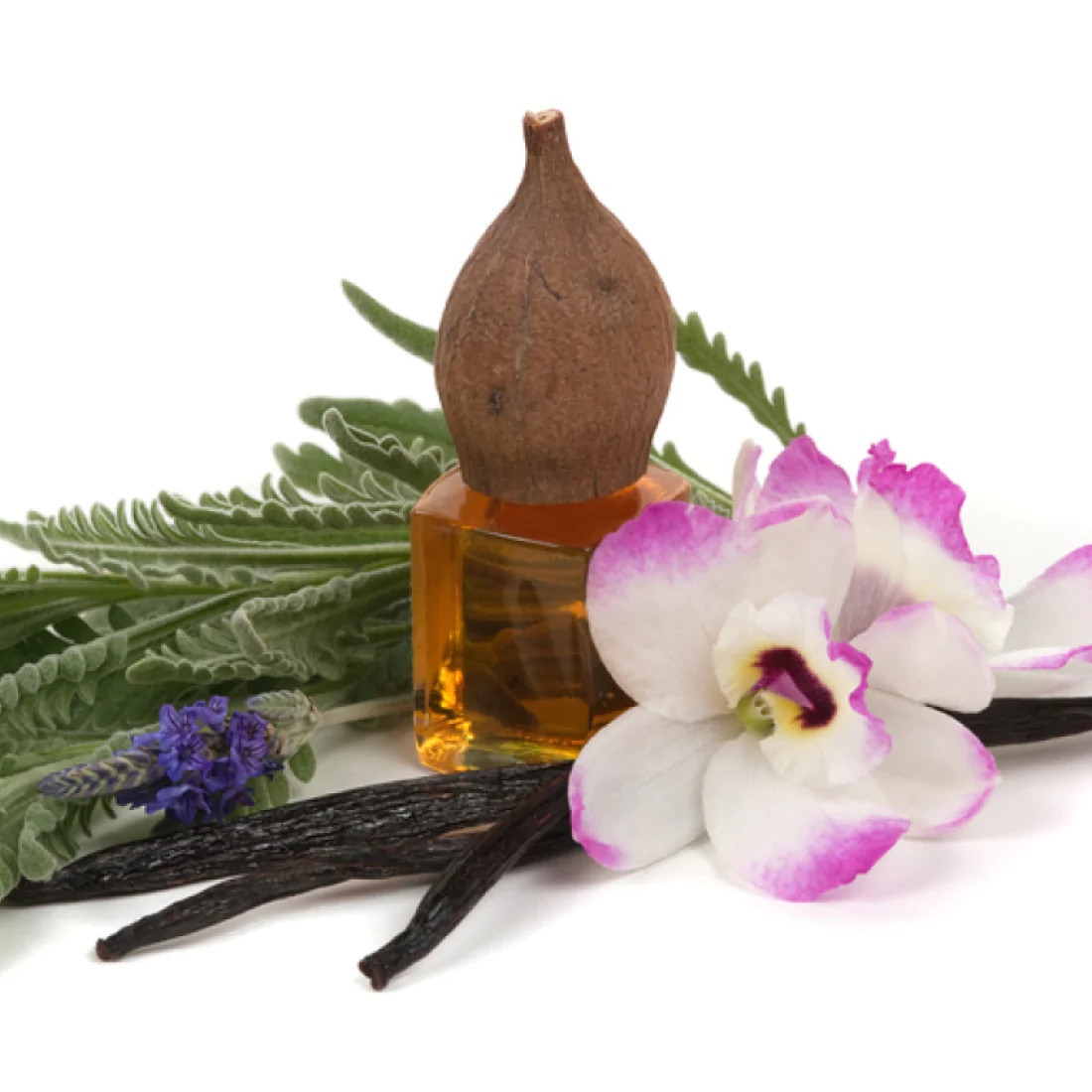 Lavender Vanilla Fragrance Oil