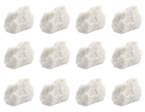 Eisco Labs Gypsum Mineral Specimen, Approx. 1" (3cm) | Rock & Mineral Sample For Education, Mohs Hardness Scale
