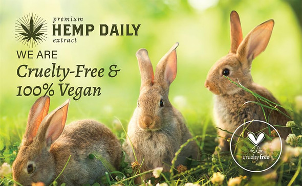 Earthly Body Premium Hemp Extract Daily Ultimate Cream - Menthol, Argan, Jojoba, Rosehips - Lightweight, Fast-Absorbing Moisturizing Topical Lotion with Essential Oils - Lavender, Single 5oz