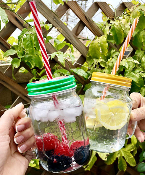 4 Pack x 16 oz Mason Jar Mugs with Handles, Lids, Reusable Straws with Fruit Patterned Stainless Steel Lids and Straws