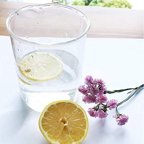 Bécher, Griffin, Forme Basse, Verre, 2000 ML | Hach Ance