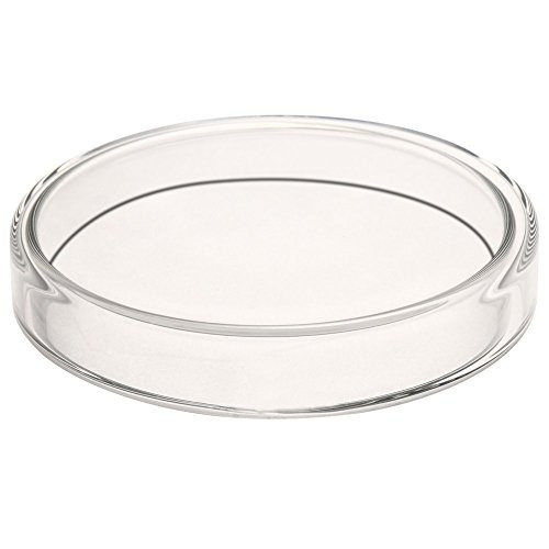 QWORK Sterile Glass Petri Dish Petri Plates with Lid,5 Pack