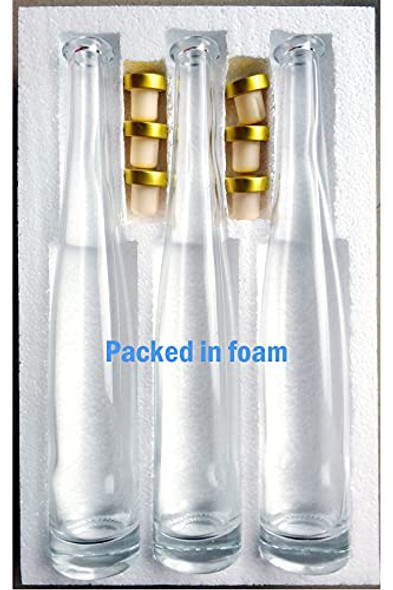 24-Pack 16oz Kombucha/Beer Glass Bottles Clear Leak Proof - Non Slip Style