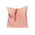 Bold Pink Cushion