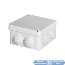ETNEC491C6