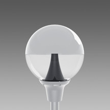 DIS42560000