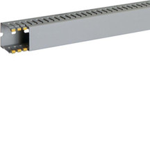 IBOB02579