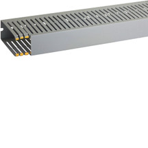IBOB02582
