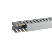 IBOB02566