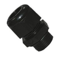 PAL581025EX