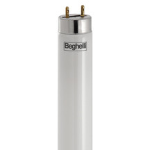 BEG56230