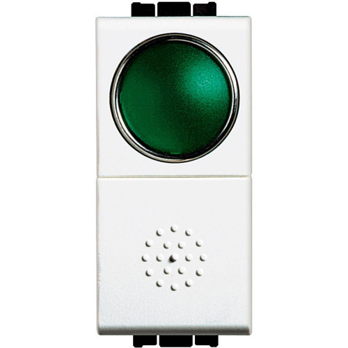 BTIN4038V