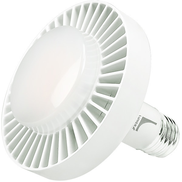 Recessed LED Bulbs