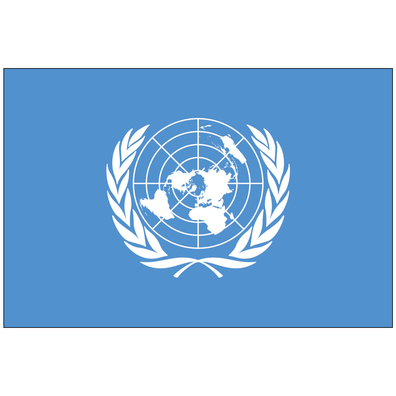 United Nations Flag on a Stick