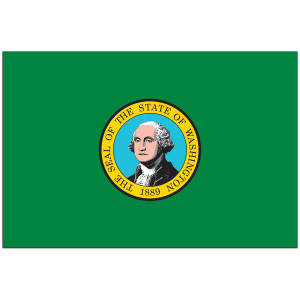 Mounted Washington Flag Mounted Washington Flag