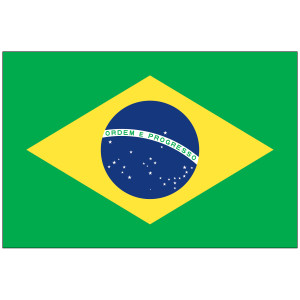 Brazil Flag Brazil Flag