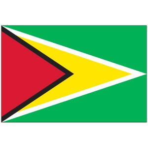 Guyana Flag Guyana Flag