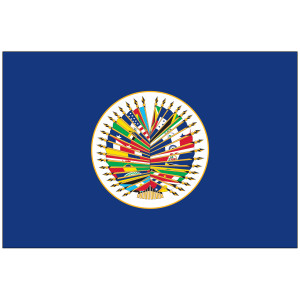 OAS Flag
