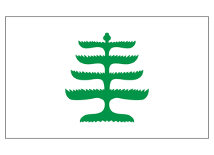 Pine Tree Flag