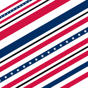 Cotton American Flat Bunting Cotton American Flat Bunting