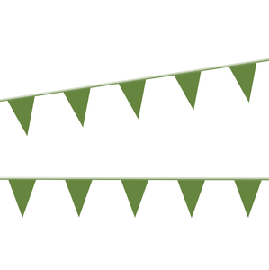 Green Poly Pennant Strings