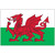 Wales Flag