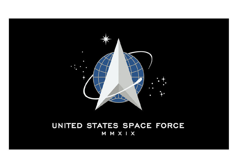 Space Force Flag on a Stick