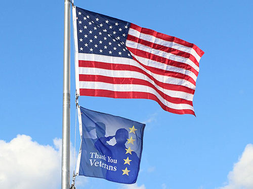 Veterans Day Flag Display
