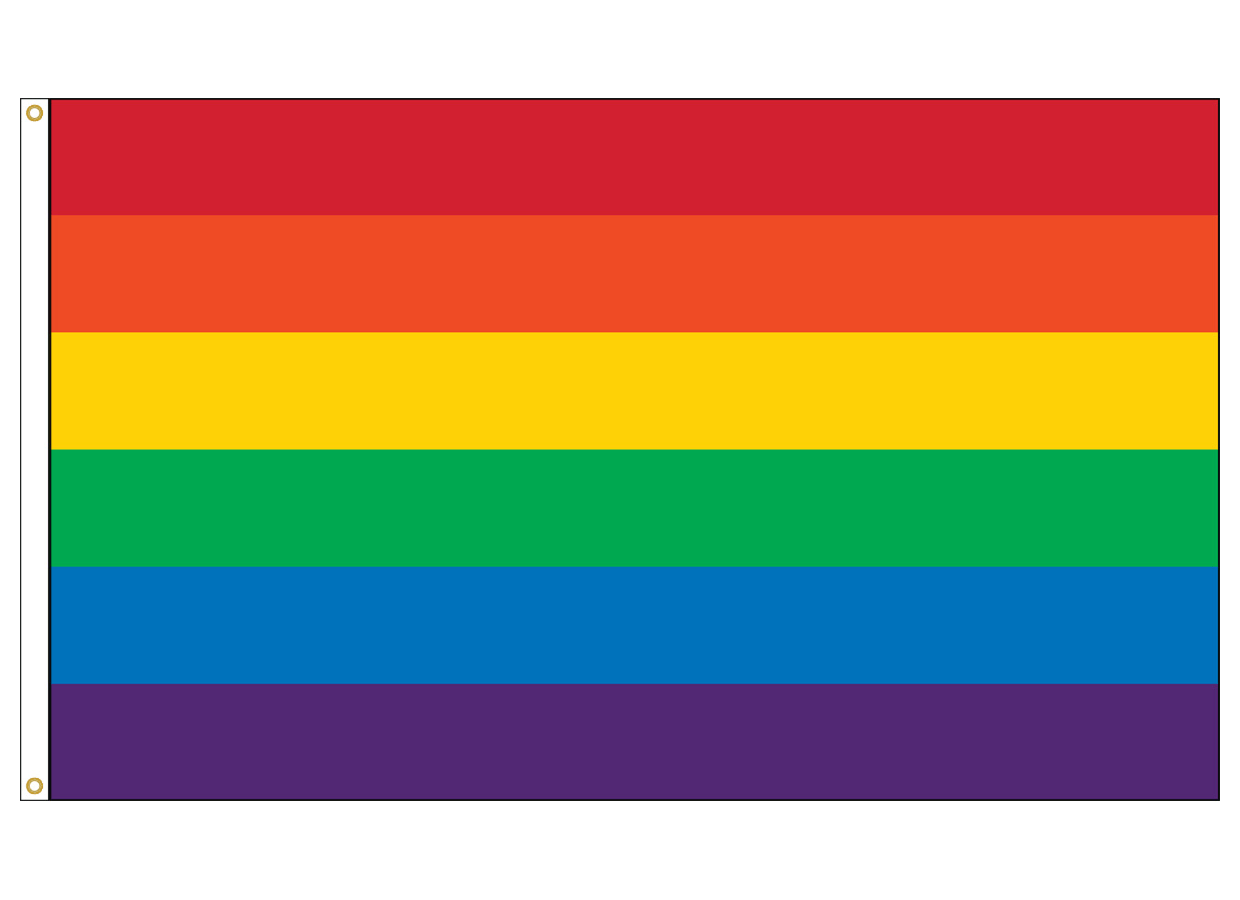 Progress Pride Rainbow Flag 3x5 Indoor Outdoor- Rainbow Flag for Wall- LGBT  Pride Flag New Rainbow Pride Flag-Double Stitched- Double Sided