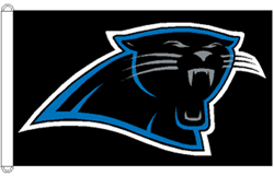 Carolina Panthers Pennant Banner Flag