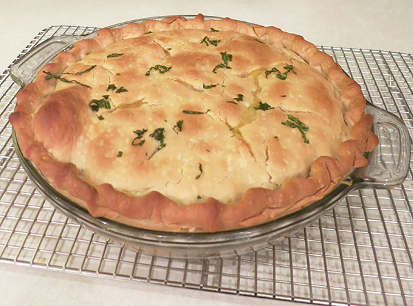 chicken pot pie picture