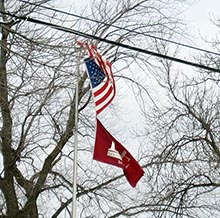 flag with tree damage