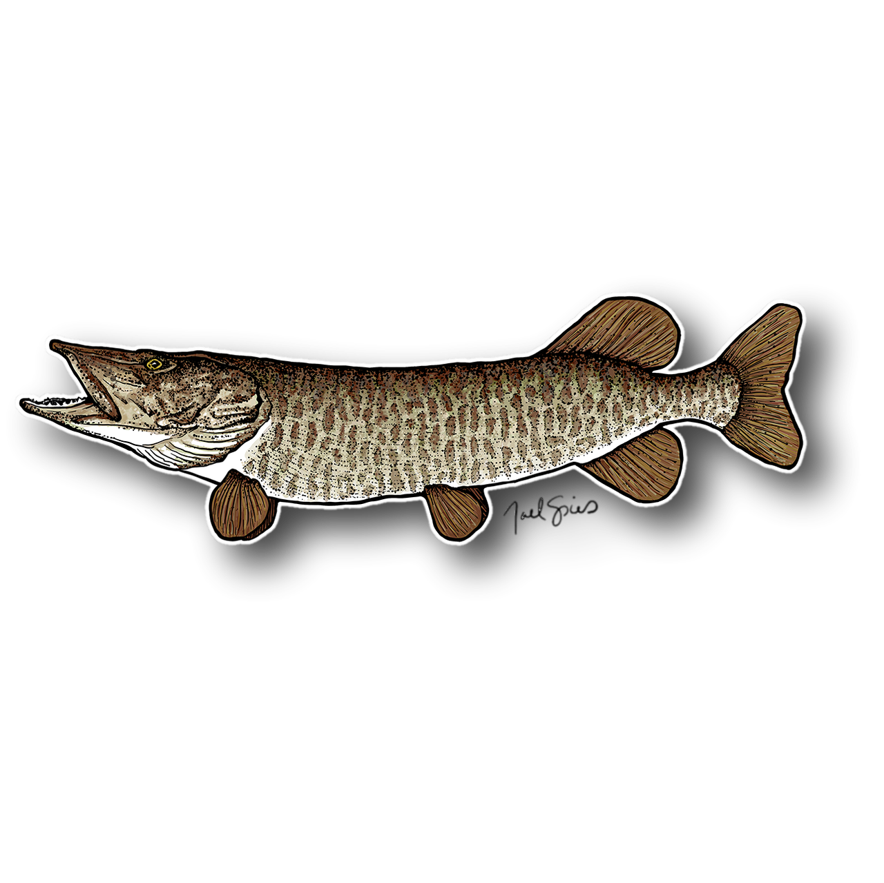 Musky Graphics Musky Decal โ Apex Predator Fishing Art by Joel Spies