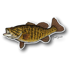 Brule Bay Smallmouth Bass Decal Brule Bay Smallmouth Bass Decal