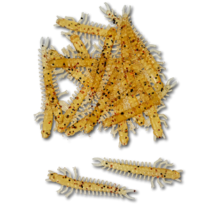 Jiggin' Johnsons' Hellgrammite 2.0" Finesse Soft Plastic Bait