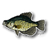 Brule Bay Crappie Decal Brule Bay Crappie Decal