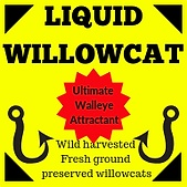 Liquid Willowcat logo