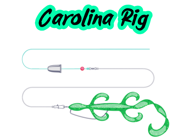 Carolina Rig diagram