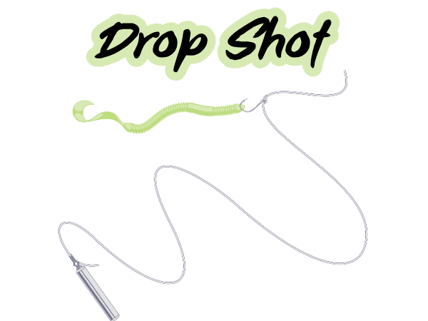 Drop Shot rig diagram