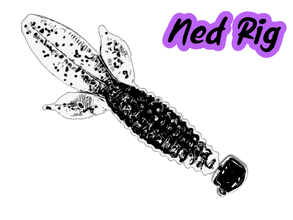 Ned Rig diagram
