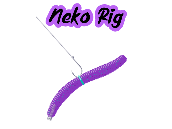 Neko Rig diagram