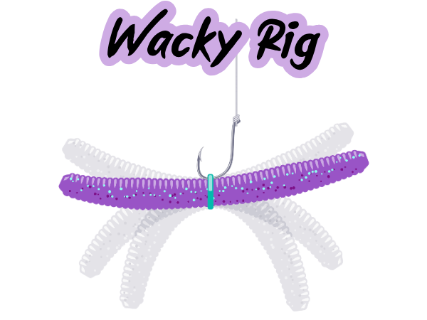 Wacky Rig diagram